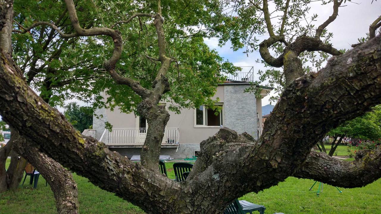 La Locanda Francigena Bed & Breakfast Lucca Bagian luar foto
